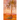 The Wild Date Palm