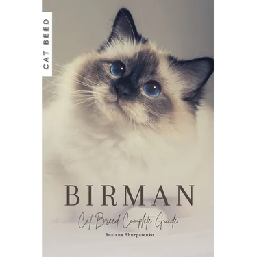 Birman: Cat Breed Complete Guide