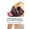 A Photographic Journey into the Life of Pug Dogs