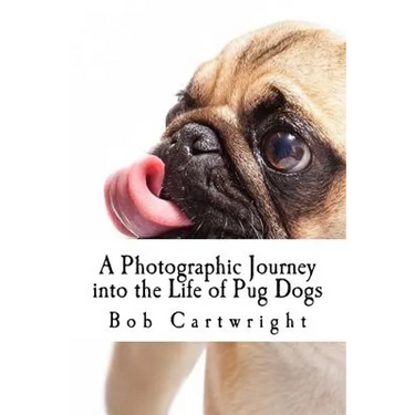 A Photographic Journey into the Life of Pug Dogs