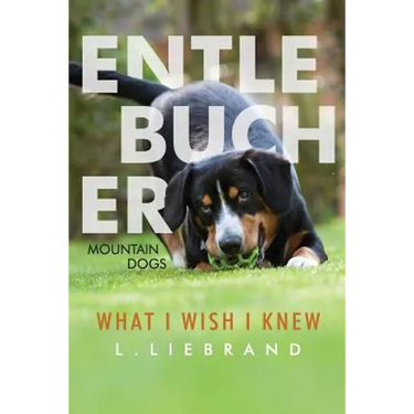 Entlebucher Mountain Dogs - What I Wish I Knew