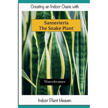 Creating an Indoor Oasis with Sansevieria Snake Plant: Snake Plant book
