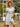 3d1856e9-f99b-4b9b-b4cb-5465394a0749-Max