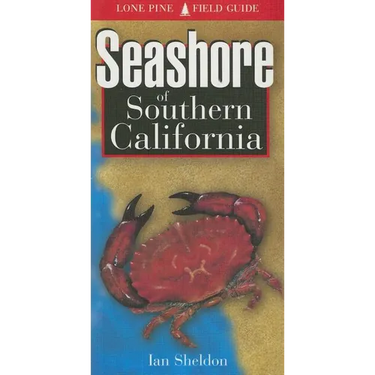 Seashore of Southern California