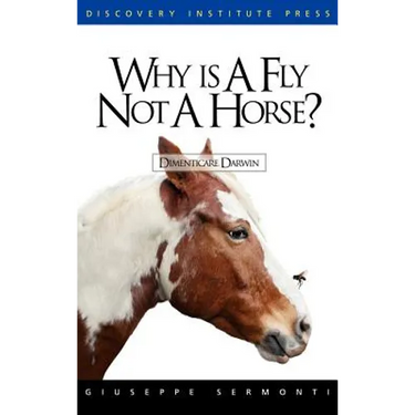 Why Is a Fly Not a Horse?