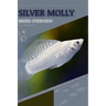 Silver Molly: From Novice to Expert. Comprehensive Aquarium Fish Guide
