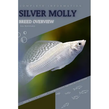 Silver Molly: From Novice to Expert. Comprehensive Aquarium Fish Guide