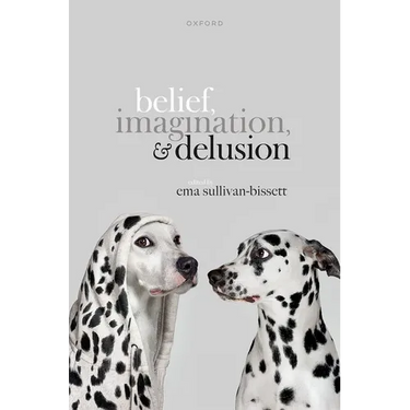 Belief, Imagination, and Delusion