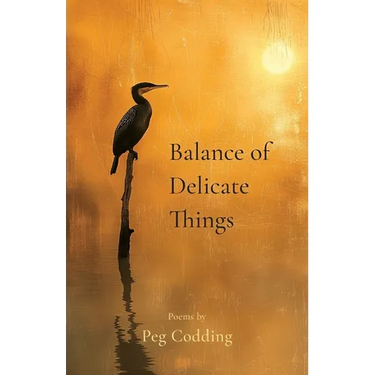 Balance of Delicate Things