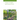 Instant Insights: Agroforestry Practices