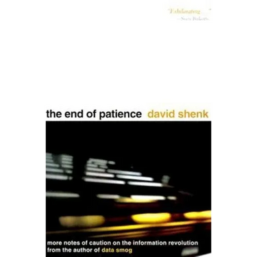The End of Patience: Cautionary Notes on the Information Revolution