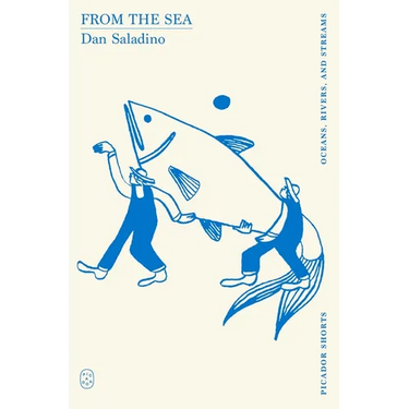 From the Sea (Picador Shorts)