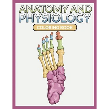Anatomy And Physiology Coloring Book