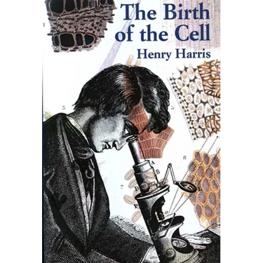 The Birth of the Cell