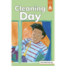 Cleaning Day