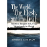 The World, The Flesh, and The Devil: Practical Insights to Living Victoriously in Christ