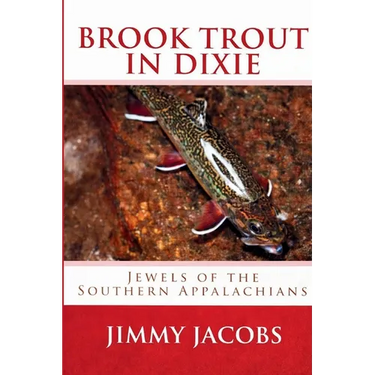 Brook Trout in Dixie