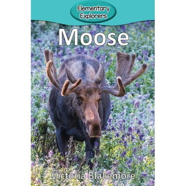 Moose