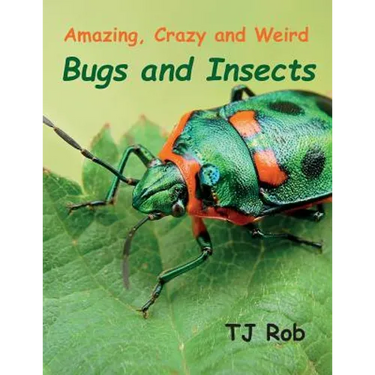 Amazing, Crazy and Weird Bugs and Insects: (Age 5 - 8)