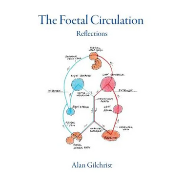 The Foetal Circulation