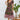 402bd244-413f-4bbb-adaa-07f2fb82e17a-Max
