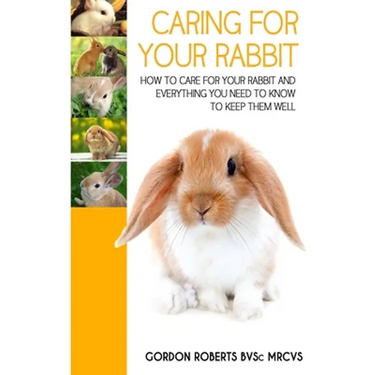 Caring For Your Rabbit: How to care for your Rabbit and everything you need to know to keep them well