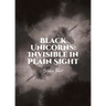 Black Unicorns: Invisible in Plain Sight