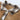 43a347e9-f168-410c-b2d6-f7fb2a1deb75-Max