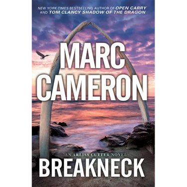 Breakneck: A Captivating Novel of Suspense