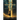 The Shattered Veil