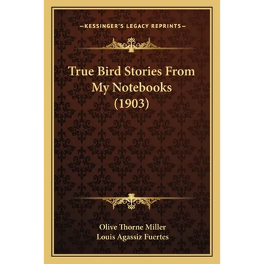 True Bird Stories From My Notebooks (1903)
