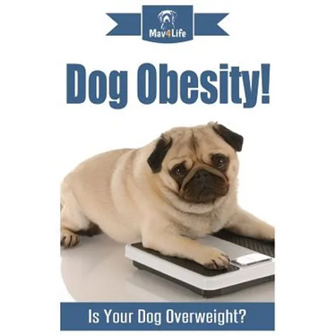 Dog Obesity!: Is Your Dog Overweight?