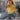 46640be7fc1845dfb9328e7bc8ef111b-Max