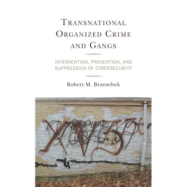 Transnational Organized Crime and Gangs: Intervention, Prevention, and Suppression of Cybersecurity