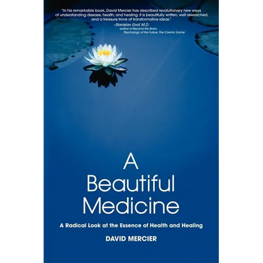 A Beautiful Medicine - A Radical Look at the Essence of Health and Healing