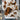 470901bc-52d2-4d6d-8ad8-c9c5f2cce5a6-Max