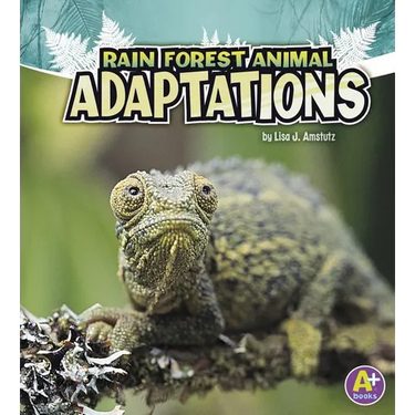 Rain Forest Animal Adaptations