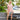 488f1198-2d29-4d40-8024-497205220fb1-Max