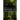 Return to the Uncanny
