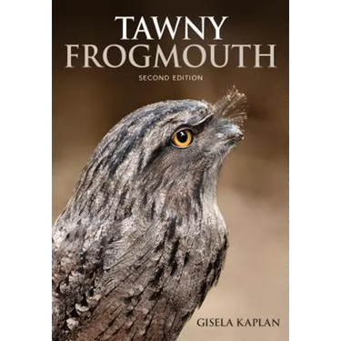 Tawny Frogmouth