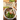 Vietnamese Cookbook: 70 Easy Recipes For Pho Spring Rolls And Traditional Dishes From Vietnam