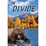 The Divide