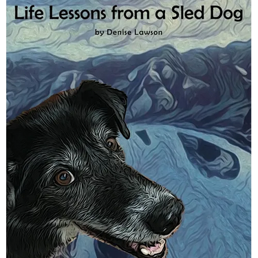 Life Lessons from a Sled Dog