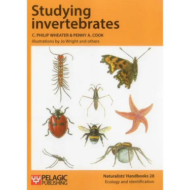 Studying Invertebrates