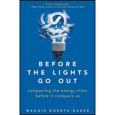 Before the Lights Go Out: Conquering the Energy Crisis Before It Conquers Us