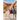 From the Back of a Donkey, Journey of a Lifetime - Second Edition: Second Edition