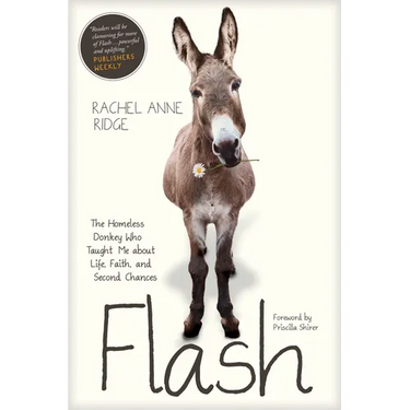Flash: The Homeless Donkey Who Taught Me about Life, Faith, and Second Chances