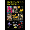 Florida Wild Flowers and Roadside Plants