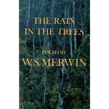 The Rain in the Trees