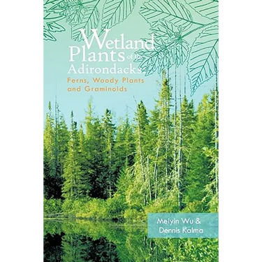 Wetland Plants of the Adirondacks: Ferns, Woody Plants, and Graminoids